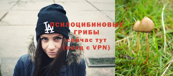 герыч Лиски