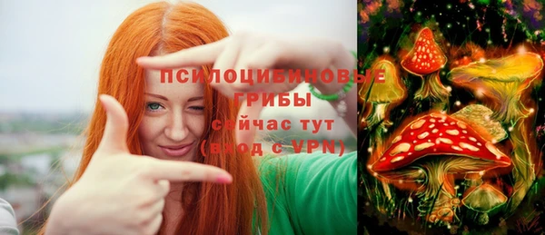 герыч Лиски
