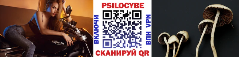 Галлюциногенные грибы мухоморы  Купить  Кинешма 